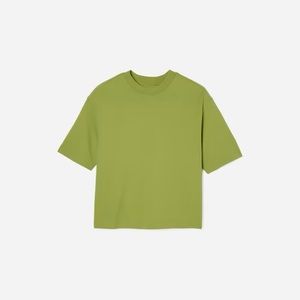 NWT Everlane Premium Weight Relaxed Tee in Pepper